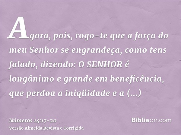 Agora, pois, rogo-te que a força do meu Senhor se engrandeça, como tens falado, dizendo:O SENHOR é longânimo e grande em beneficência, que perdoa a iniqüidade e