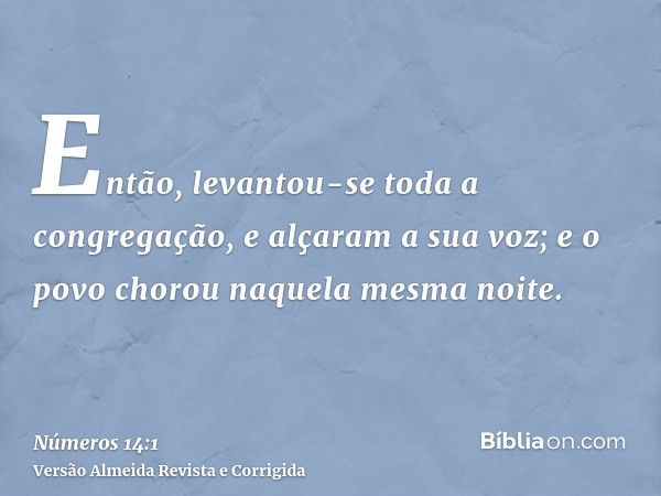 Então, levantou-se toda a congregação, e alçaram a sua voz; e o povo chorou naquela mesma noite.