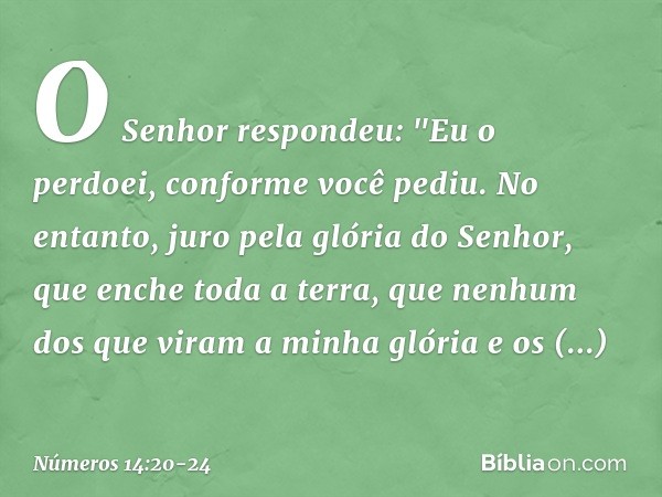 O Senhor respondeu: "Eu o perdoei, conforme você pediu. No entanto, juro pela glória do Senhor, que enche toda a terra, que nenhum dos que viram a minha glória 