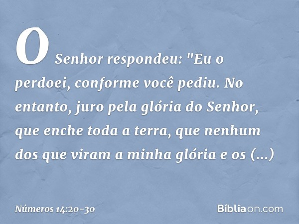 O Senhor respondeu: "Eu o perdoei, conforme você pediu. No entanto, juro pela glória do Senhor, que enche toda a terra, que nenhum dos que viram a minha glória 