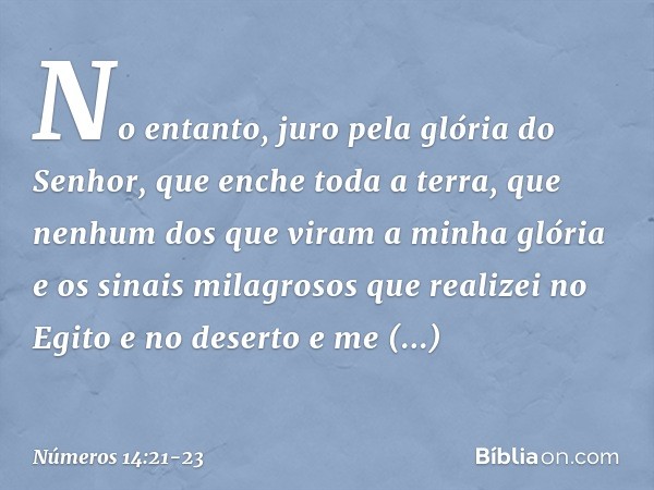 No entanto, juro pela glória do Senhor, que enche toda a terra, que nenhum dos que viram a minha glória e os sinais milagrosos que realizei no Egito e no desert