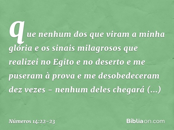 que nenhum dos que viram a minha glória e os sinais milagrosos que realizei no Egito e no deserto e me puseram à prova e me desobedeceram dez vezes - nenhum del