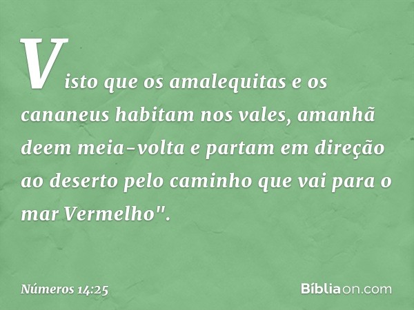 Visto que os amalequitas e os cananeus habitam nos vales, amanhã deem meia-volta e partam em direção ao deserto pelo caminho que vai para o mar Vermelho". -- Nú