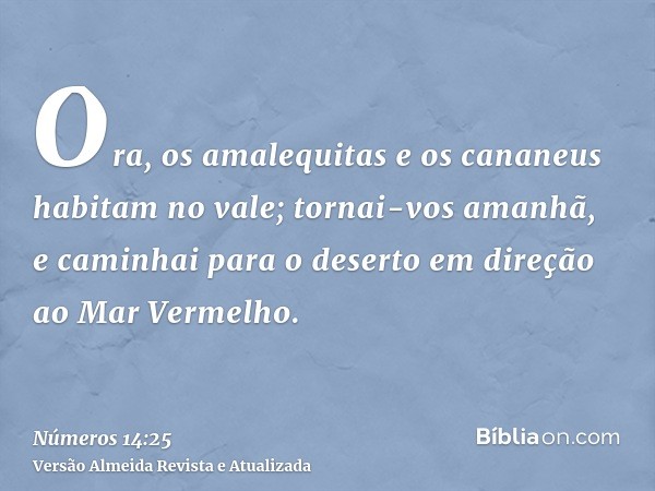 Ora, os amalequitas e os cananeus habitam no vale; tornai-vos amanhã, e caminhai para o deserto em direção ao Mar Vermelho.