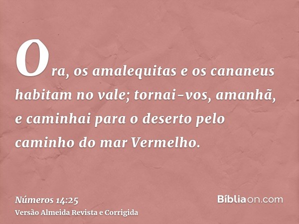Ora, os amalequitas e os cananeus habitam no vale; tornai-vos, amanhã, e caminhai para o deserto pelo caminho do mar Vermelho.