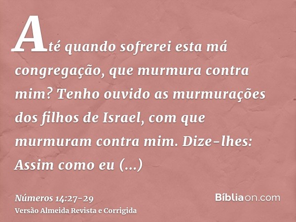 Até quando sofrerei esta má congregação, que murmura contra mim? Tenho ouvido as murmurações dos filhos de Israel, com que murmuram contra mim.Dize-lhes: Assim 