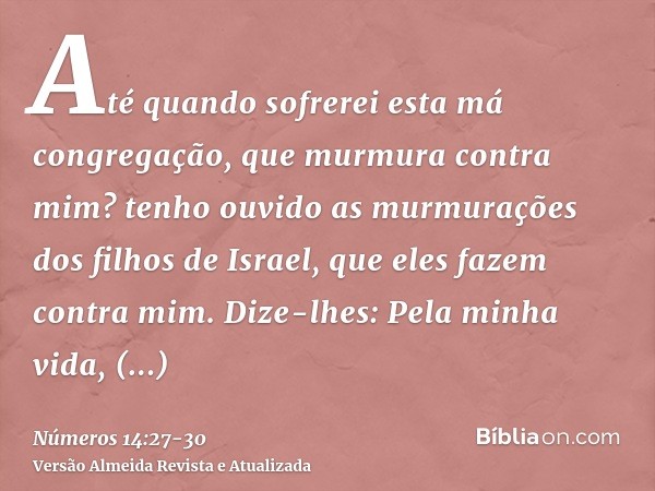 Até quando sofrerei esta má congregação, que murmura contra mim? tenho ouvido as murmurações dos filhos de Israel, que eles fazem contra mim.Dize-lhes: Pela min
