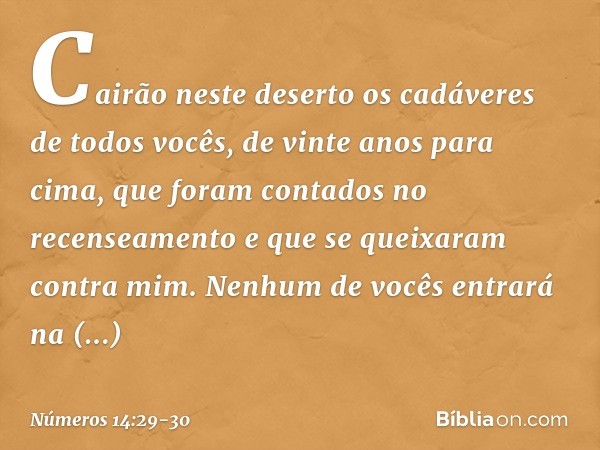 Cairão neste deserto os cadáveres de todos vocês, de vinte anos para cima, que foram contados no recenseamento e que se queixaram contra mim. Nenhum de vocês en