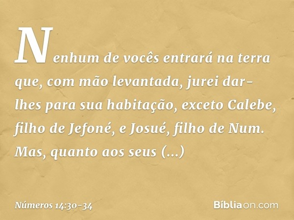 Nenhum de vocês entrará na terra que, com mão levantada, jurei dar-lhes para sua habitação, exceto Calebe, filho de Jefoné, e Josué, filho de Num. Mas, quanto a