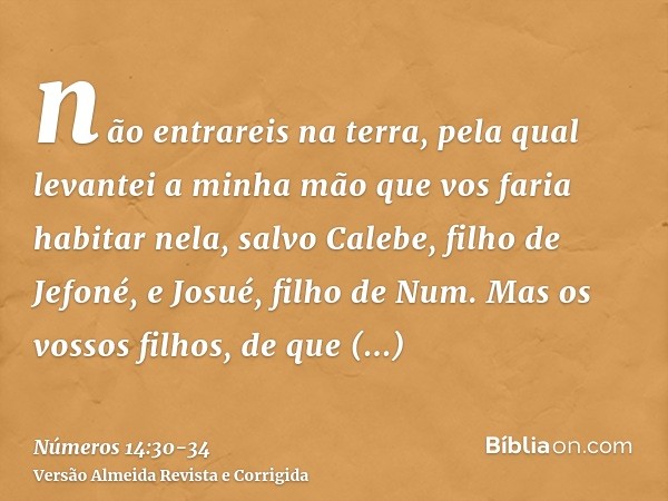 não entrareis na terra, pela qual levantei a minha mão que vos faria habitar nela, salvo Calebe, filho de Jefoné, e Josué, filho de Num.Mas os vossos filhos, de