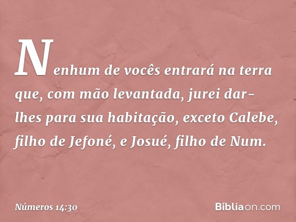 Nenhum de vocês entrará na terra que, com mão levantada, jurei dar-lhes para sua habitação, exceto Calebe, filho de Jefoné, e Josué, filho de Num. -- Números 14