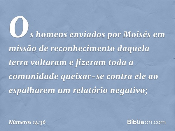 Os homens enviados por Moisés em missão de reconhecimento daquela terra voltaram e fizeram toda a comunidade queixar-se contra ele ao espalharem um relatório ne