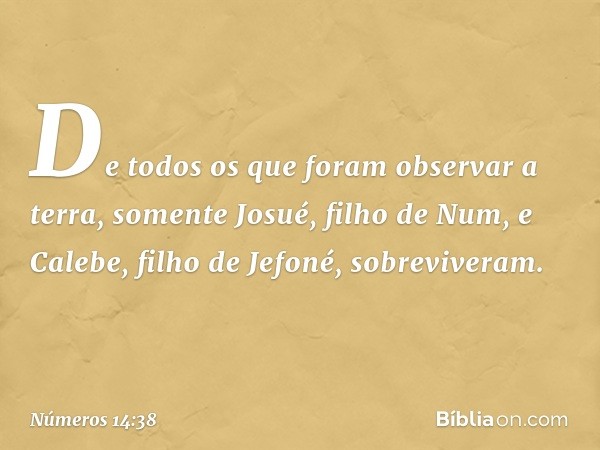 De todos os que foram observar a terra, somente Josué, filho de Num, e Calebe, filho de Jefoné, sobreviveram. -- Números 14:38