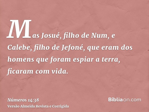 Mas Josué, filho de Num, e Calebe, filho de Jefoné, que eram dos homens que foram espiar a terra, ficaram com vida.