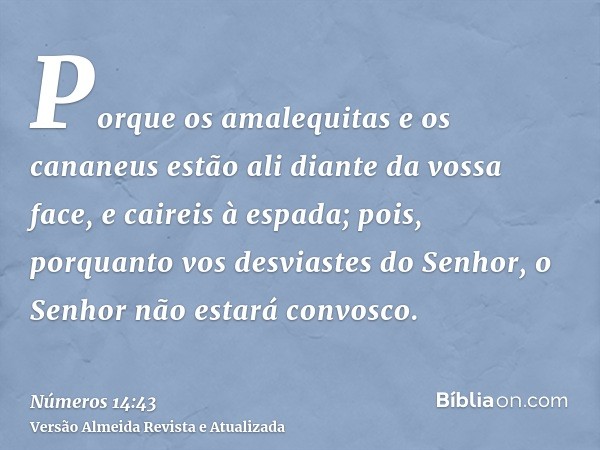 Porque os amalequitas e os cananeus estão ali diante da vossa face, e caireis à espada; pois, porquanto vos desviastes do Senhor, o Senhor não estará convosco.