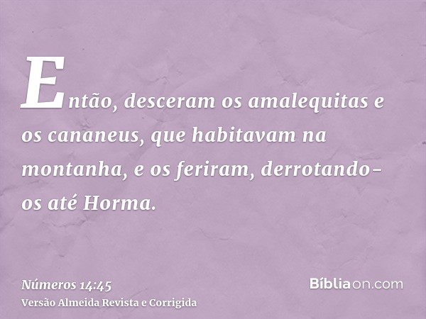 Então, desceram os amalequitas e os cananeus, que habitavam na montanha, e os feriram, derrotando-os até Horma.