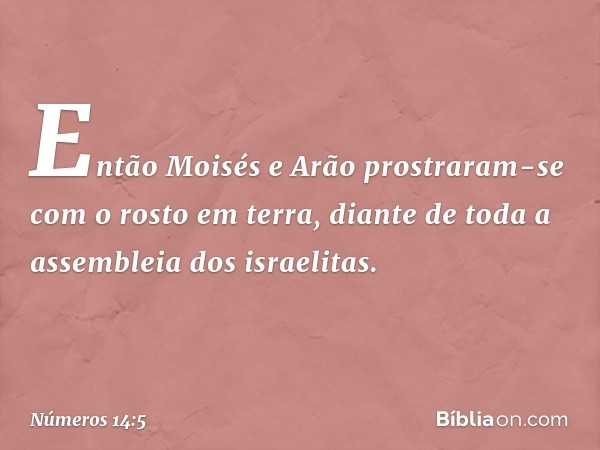 Então Moisés e Arão prostraram-se com o rosto em terra, diante de toda a assembleia dos israelitas. -- Números 14:5