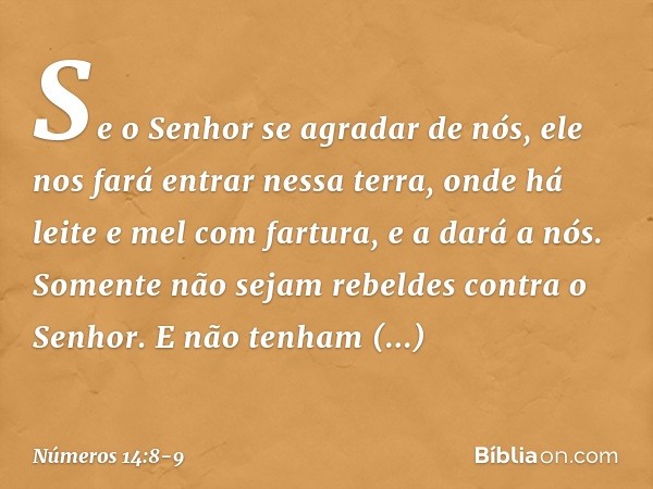 Se o Senhor se agradar de nós, ele nos fará entrar nessa terra, onde há leite e mel com fartura, e a dará a nós. Somente não sejam rebeldes contra o Senhor. E n