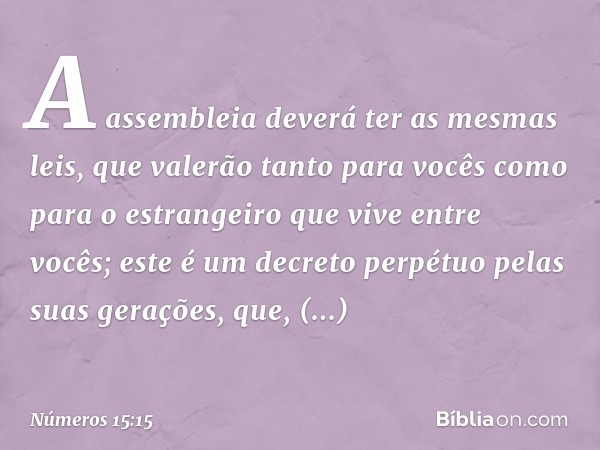 A assembleia deverá ter as mesmas leis, que valerão tanto para vocês como para o estrangeiro que vive entre vocês; este é um decreto perpétuo pelas suas geraçõe