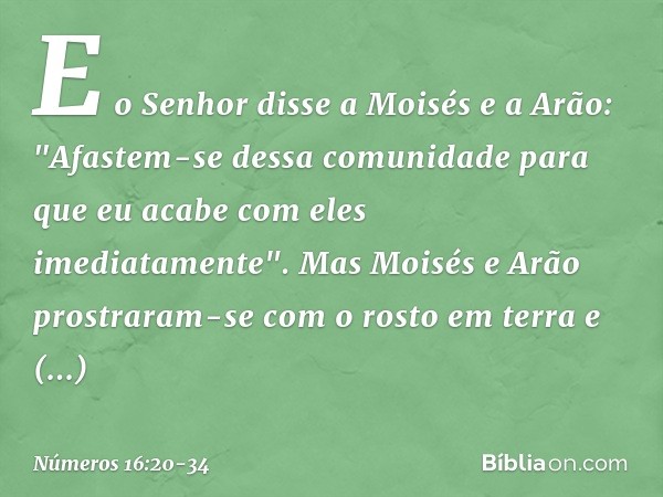 E o Senhor disse a Moisés e a Arão: "Afastem-se dessa comunidade para que eu acabe com eles imediatamente". Mas Moisés e Arão prostraram-se com o rosto em terra