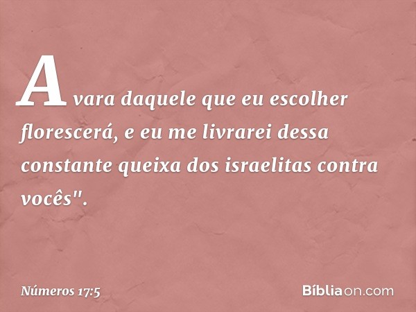 A vara daquele que eu escolher florescerá, e eu me livrarei dessa constante queixa dos israelitas contra vocês". -- Números 17:5