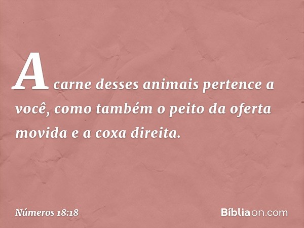 A carne desses animais pertence a você, como também o peito da oferta movida e a coxa direita. -- Números 18:18