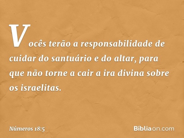 "Vocês terão a responsabilidade de cuidar do santuário e do altar, para que não torne a cair a ira divina sobre os israelitas. -- Números 18:5