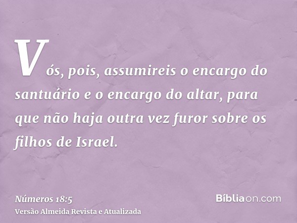 Vós, pois, assumireis o encargo do santuário e o encargo do altar, para que não haja outra vez furor sobre os filhos de Israel.