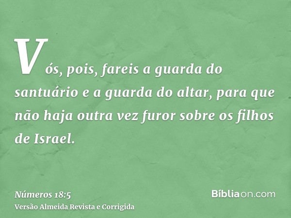 Vós, pois, fareis a guarda do santuário e a guarda do altar, para que não haja outra vez furor sobre os filhos de Israel.