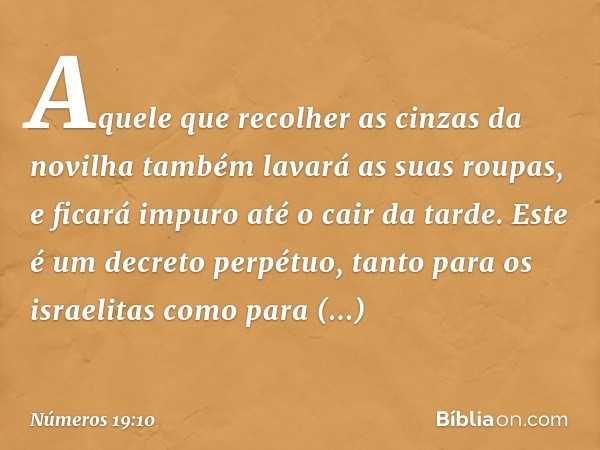 Aquele que recolher as cinzas da novilha também lavará as suas roupas, e ficará impuro até o cair da tarde. Este é um decreto perpétuo, tanto para os israelitas