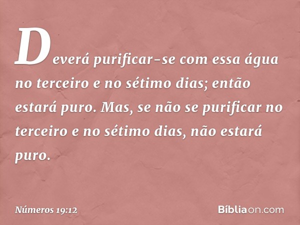 Deverá purificar-se com essa água no terceiro e no sétimo dias; então estará puro. Mas, se não se purificar no terceiro e no sétimo dias, não estará puro. -- Nú