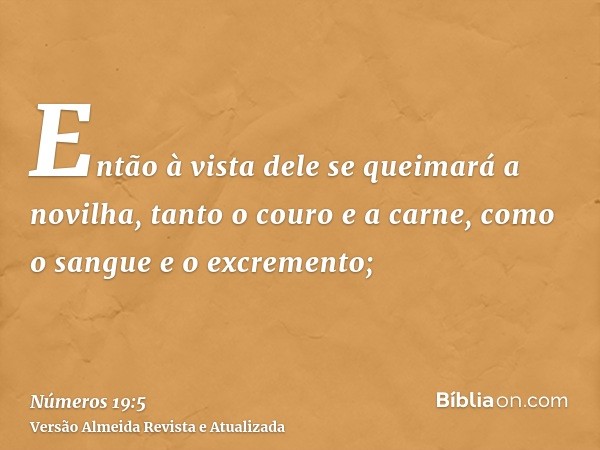 Então à vista dele se queimará a novilha, tanto o couro e a carne, como o sangue e o excremento;