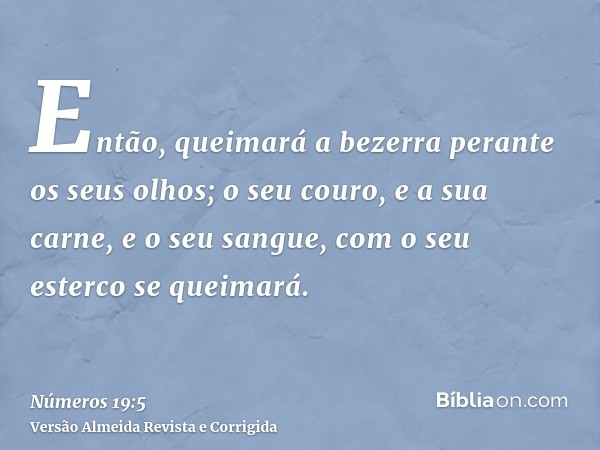 Então, queimará a bezerra perante os seus olhos; o seu couro, e a sua carne, e o seu sangue, com o seu esterco se queimará.