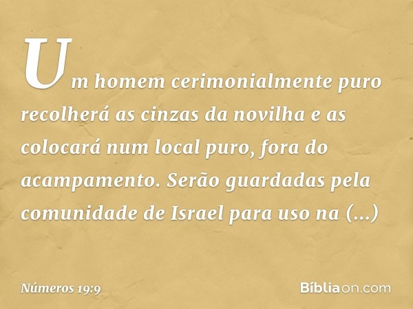 "Um homem cerimonialmente puro recolherá as cinzas da novilha e as colocará num local puro, fora do acampamento. Serão guardadas pela comunidade de Israel para 