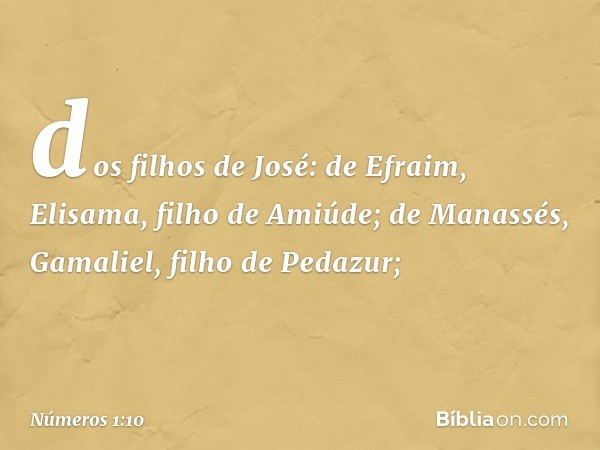 dos filhos de José:
de Efraim, Elisama, filho de Amiúde;
de Manassés, Gamaliel,
filho de Pedazur; -- Números 1:10