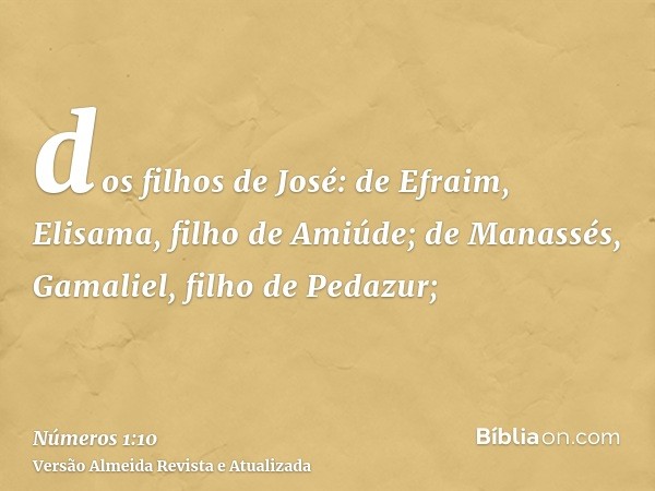 dos filhos de José: de Efraim, Elisama, filho de Amiúde; de Manassés, Gamaliel, filho de Pedazur;