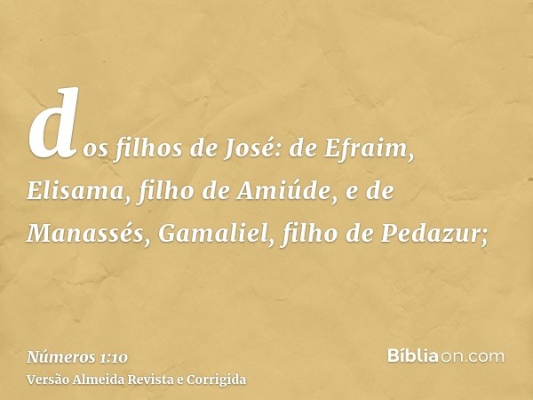 dos filhos de José: de Efraim, Elisama, filho de Amiúde, e de Manassés, Gamaliel, filho de Pedazur;