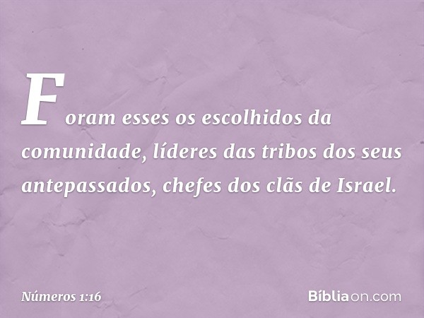 Foram esses os escolhidos da comunidade, líderes das tribos dos seus antepassados, chefes dos clãs de Israel. -- Números 1:16