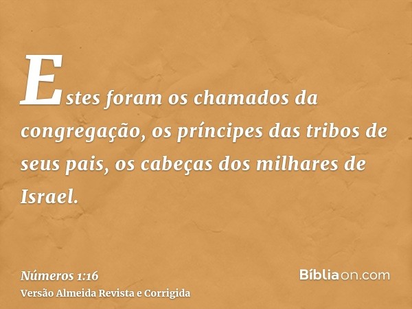 Estes foram os chamados da congregação, os príncipes das tribos de seus pais, os cabeças dos milhares de Israel.