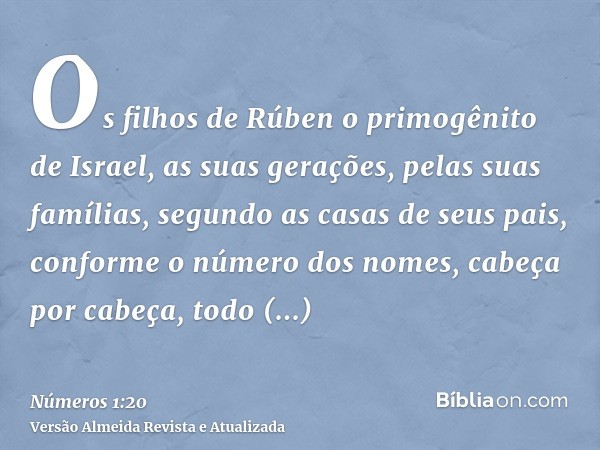 Os filhos de Rúben o primogênito de Israel, as suas gerações, pelas suas famílias, segundo as casas de seus pais, conforme o número dos nomes, cabeça por cabeça