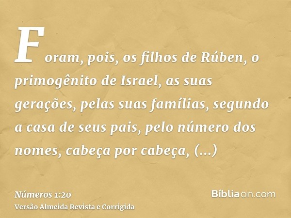 Foram, pois, os filhos de Rúben, o primogênito de Israel, as suas gerações, pelas suas famílias, segundo a casa de seus pais, pelo número dos nomes, cabeça por 