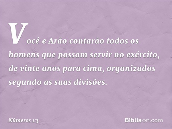 Você e Arão contarão todos os homens que possam servir no exército, de vinte anos para cima, organizados segundo as suas divisões. -- Números 1:3