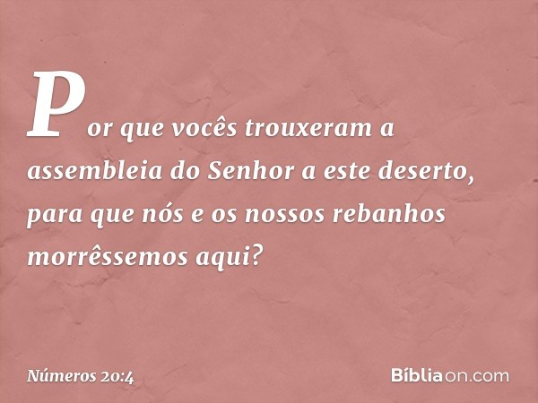 Por que vocês trouxeram a assembleia do Senhor a este deserto, para que nós e os nossos rebanhos morrêssemos aqui? -- Números 20:4