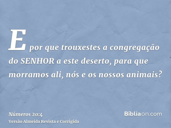E por que trouxestes a congregação do SENHOR a este deserto, para que morramos ali, nós e os nossos animais?