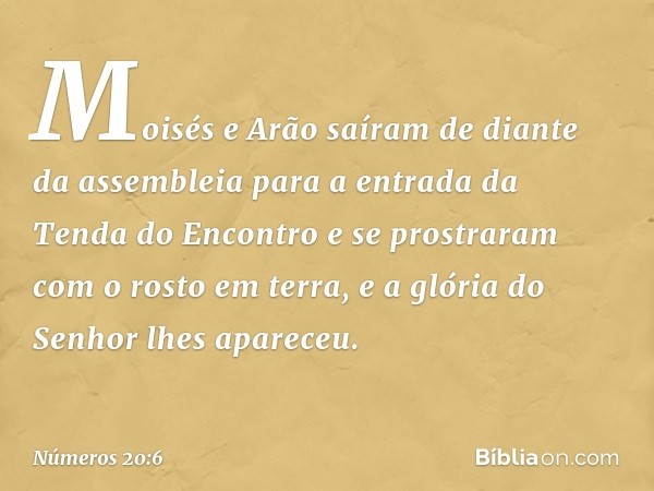 Moisés e Arão saíram de diante da assembleia para a entrada da Tenda do Encontro e se prostraram com o rosto em terra, e a glória do Senhor lhes apareceu. -- Nú