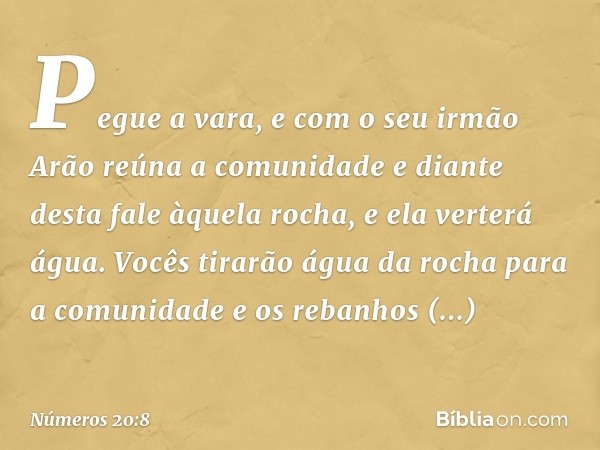 "Pegue a vara, e com o seu irmão Arão reúna a comunidade e diante desta fale àquela rocha, e ela verterá água. Vocês tirarão água da rocha para a comunidade e o