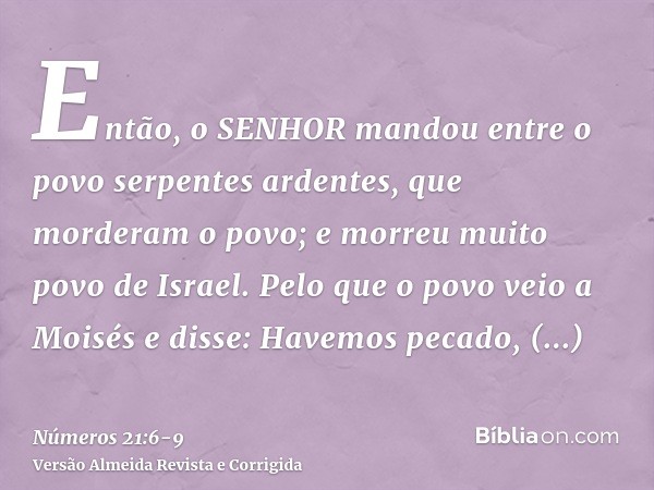 Então, o SENHOR mandou entre o povo serpentes ardentes, que morderam o povo; e morreu muito povo de Israel.Pelo que o povo veio a Moisés e disse: Havemos pecado