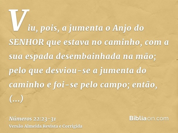 Viu, pois, a jumenta o Anjo do SENHOR que estava no caminho, com a sua espada desembainhada na mão; pelo que desviou-se a jumenta do caminho e foi-se pelo campo