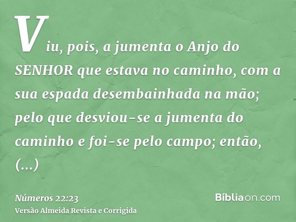 Viu, pois, a jumenta o Anjo do SENHOR que estava no caminho, com a sua espada desembainhada na mão; pelo que desviou-se a jumenta do caminho e foi-se pelo campo