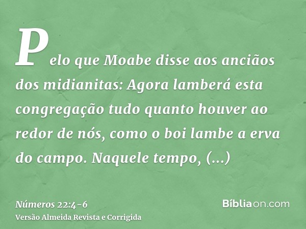 Pelo que Moabe disse aos anciãos dos midianitas: Agora lamberá esta congregação tudo quanto houver ao redor de nós, como o boi lambe a erva do campo. Naquele te